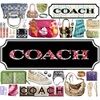 coach_ho